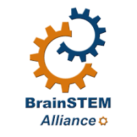 BrainSTEM Alliance is a network of ambassadors with a vision for every person to have the opportunity to be empowered by Science, Technology, Engineering and Math (STEM)